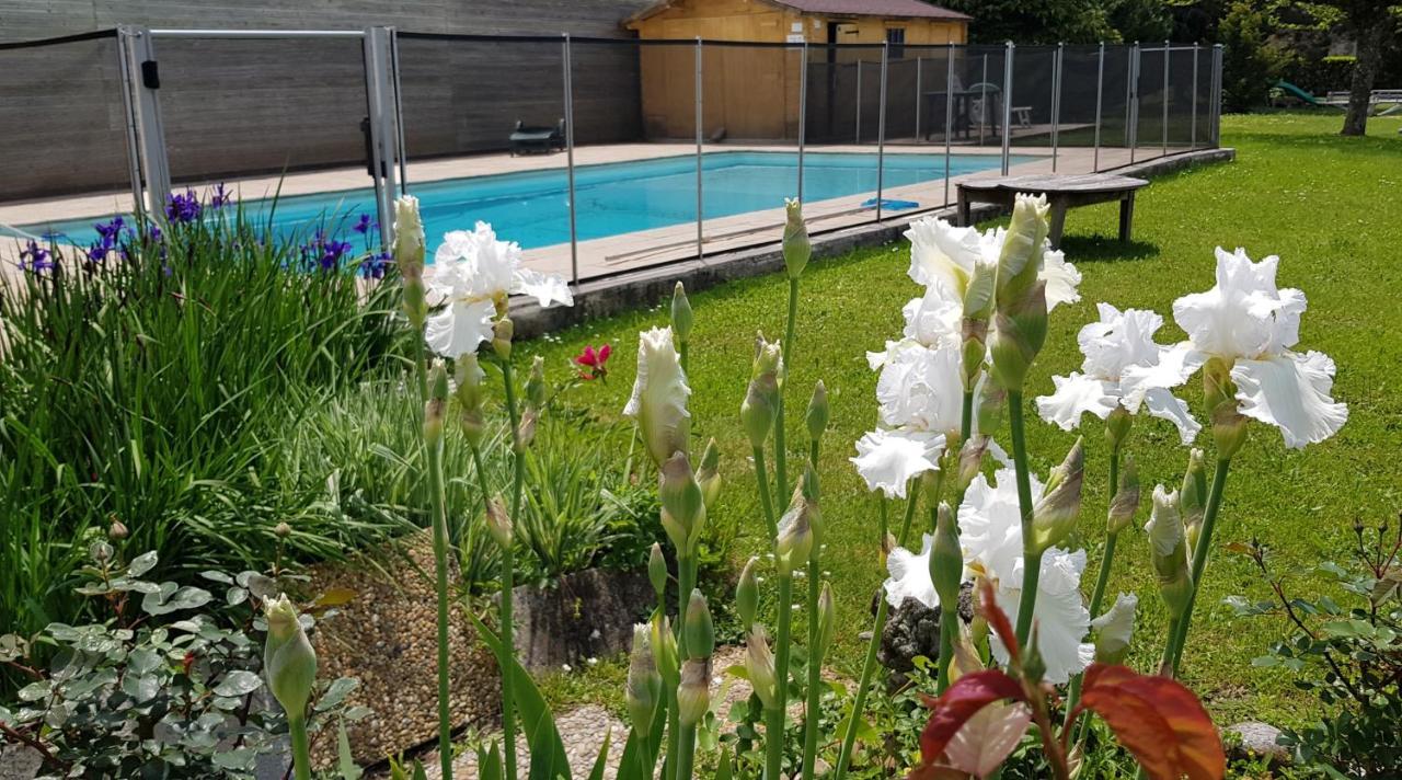 Gites De La Croisee Des Chemins - Piscine Chauffee - Spa, Hammam Et Sauna Izeaux Exterior foto